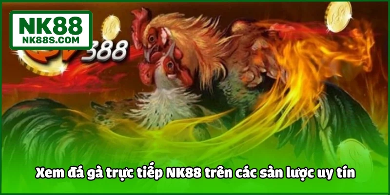 Xem đá gà trực tiếp NK88 trên các sàn lược uy tín